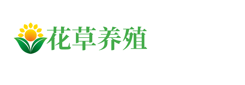 物流运输|重庆物流运输|重庆昂捷恩格物流运输有限公司